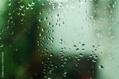 Rain on the window - green forest background.