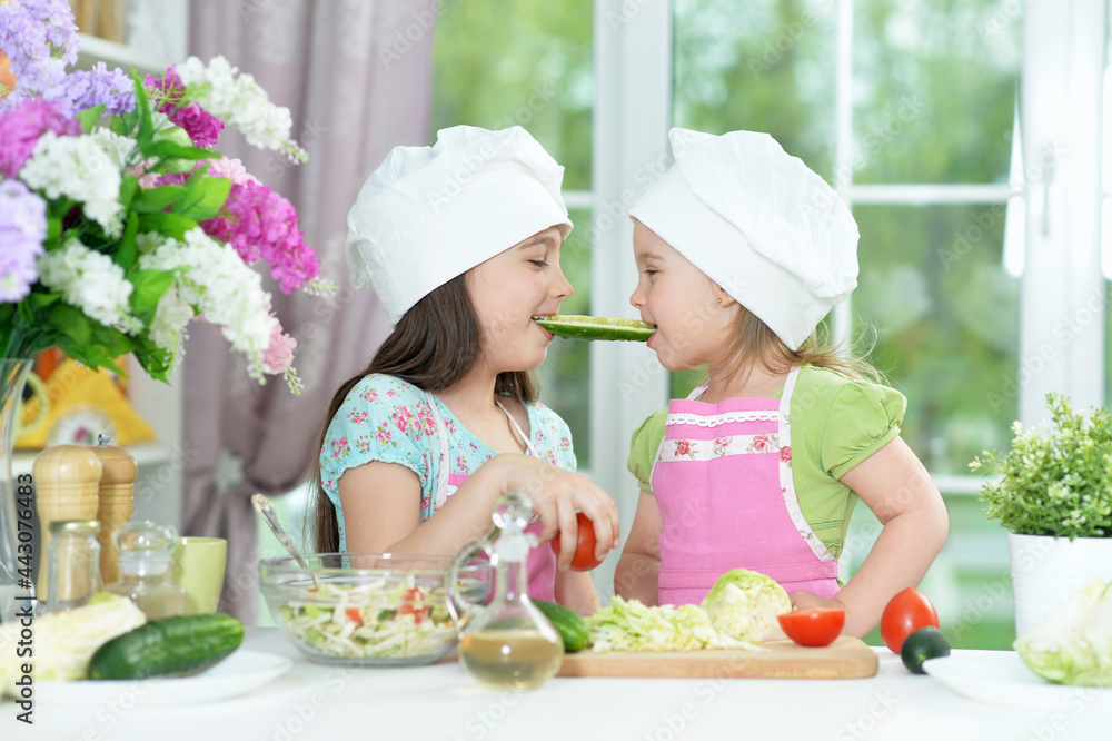 Cute girls preparing delicious fresh salad in kitchen Cute girls preparing delicious fresh salad in kitchen