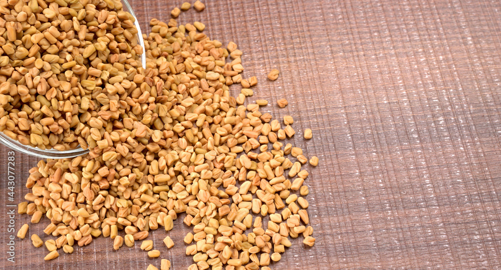 Organic fenugreek seeds, ingredient in Indian cuisine. Organic fenugreek seeds, ingredient in Indian cuisine.