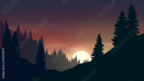 Pine Forest Silhouette Moonlight
