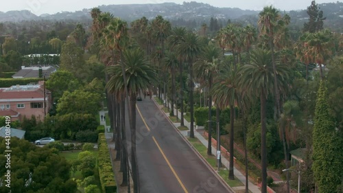 Aerial: Palm trees and mansions in Beverly Hills, Los Angeles. California, USA