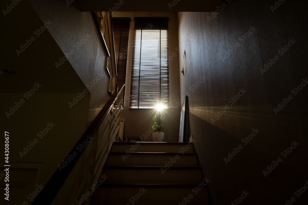 Sun shining through bamboo blind.