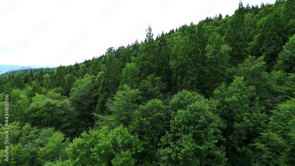 広大な森林 山並み 秋田県 移動撮影 広大な森林 山並み 秋田県 移動撮影
