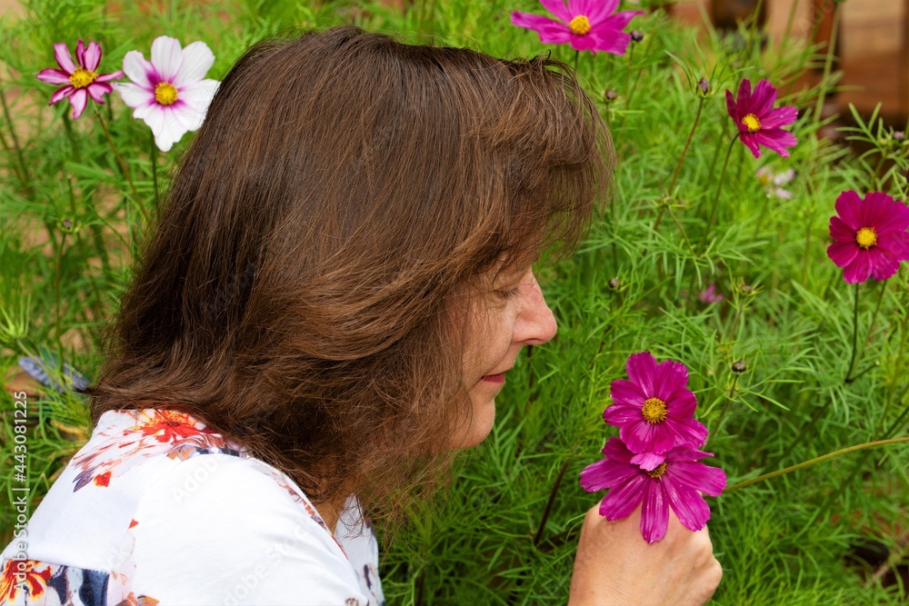 Fototapeta premium Smelling the Cosmos flowers.