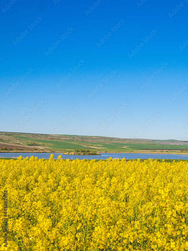 Obraz premium OLYMPUS DIGITAL CAMERA