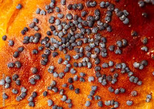 Poppy seeds on a bun as a background.