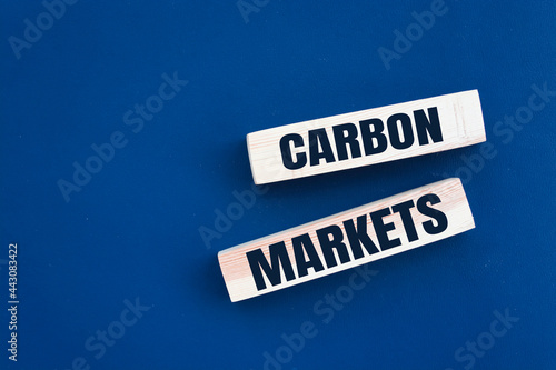 Carbon markets symbol. Concept words 'carbon markets' on wooden blocks on a beautiful blue background, Business and carbon markets concept, copy space.