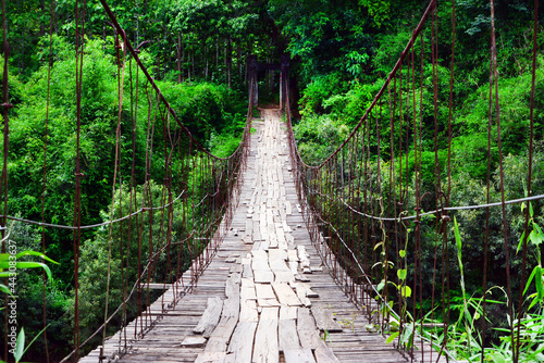 Fototapeta Naklejka Na Ścianę i Meble -  suspension bridge in the forest