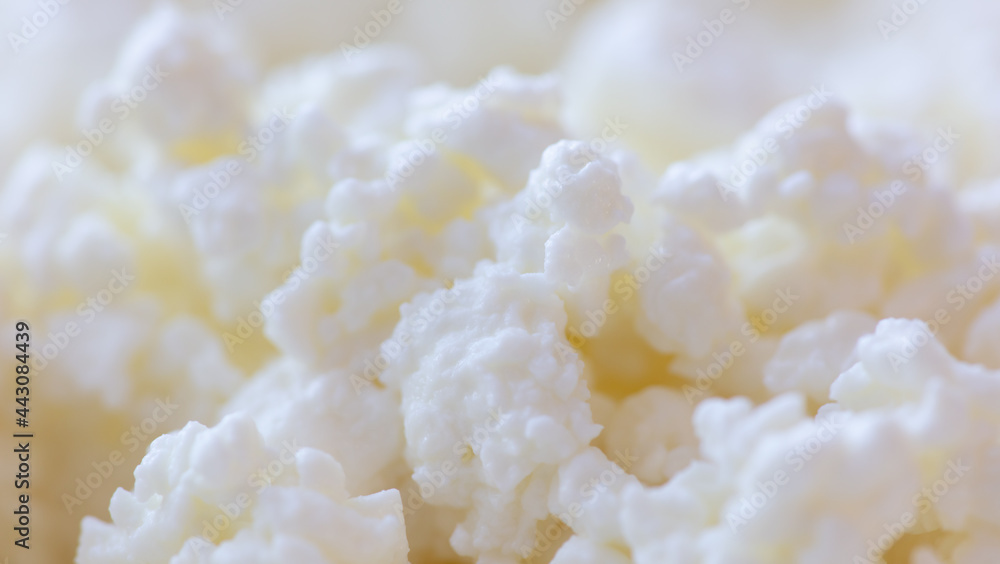 Fresh milk curd as background. Fresh milk curd as background.