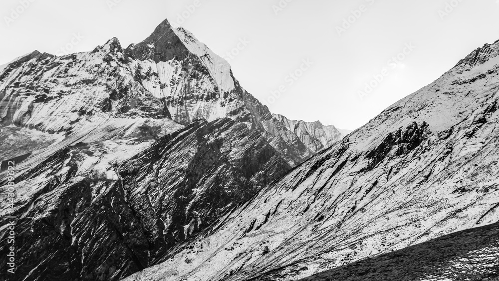 Black and white view of Mount Machhapuchhre or Fishtail Mountain, Annapurna Conservation Area, Himalaya, Nepal.