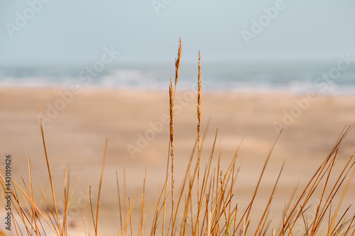 Photography Plage du Piemenson