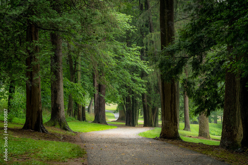 Road Lined with Trees © World Travel Photos
