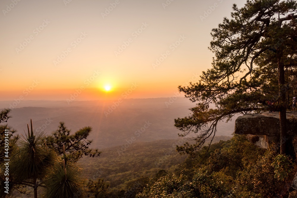 The sunset scenery on Phukradueng national park, Loey, Thailand. This is one of the landscape nature mountain scene. Taken in warm filter and soft focus effect.