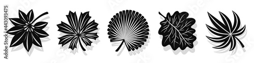 Set of vector black leaves silhouettes and shadow isolated on white background. Abstract cartoon leaf or foliage flat shape icon style. Design for logo, stencil or pattern artwork.