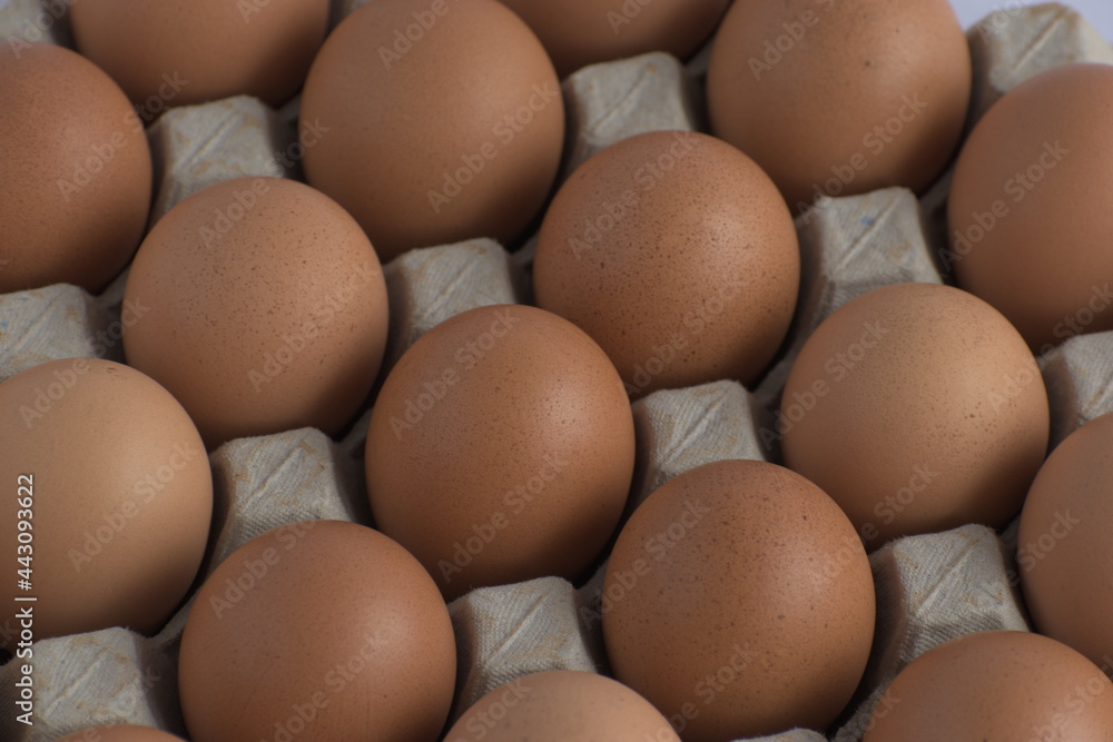 A bunch of eggs with corrugate box and bowl with natural morning light A bunch of eggs with corrugate box and bowl with natural morning light
