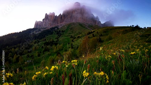 Flower fields, fast flying clouds in mountain landscape. Timelapse video