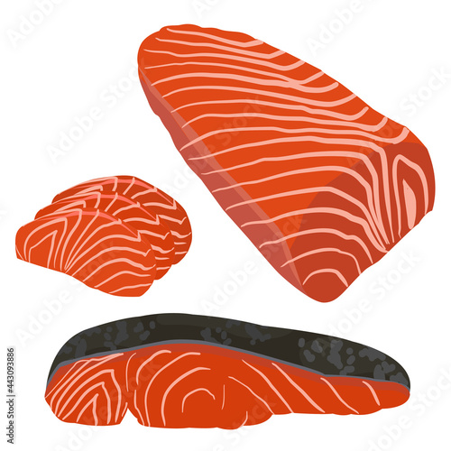salmon fish raw illustration vector
