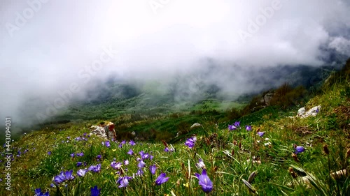 Flower fields, fast flying clouds in mountain landscape. Timelapse video