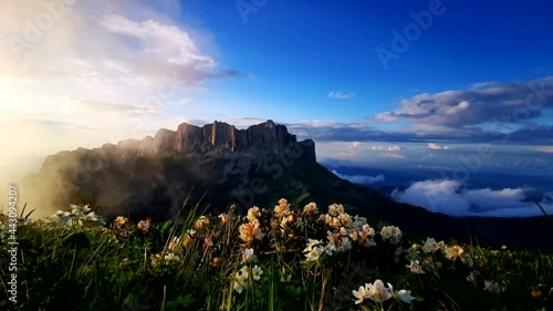 Flower fields, fast flying clouds in mountain landscape. Timelapse video