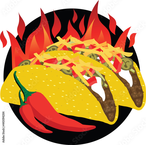 Delicous spicy hot beef taco illustration vector