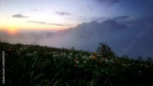 Flower fields, fast flying clouds in mountain landscape. Timelapse video