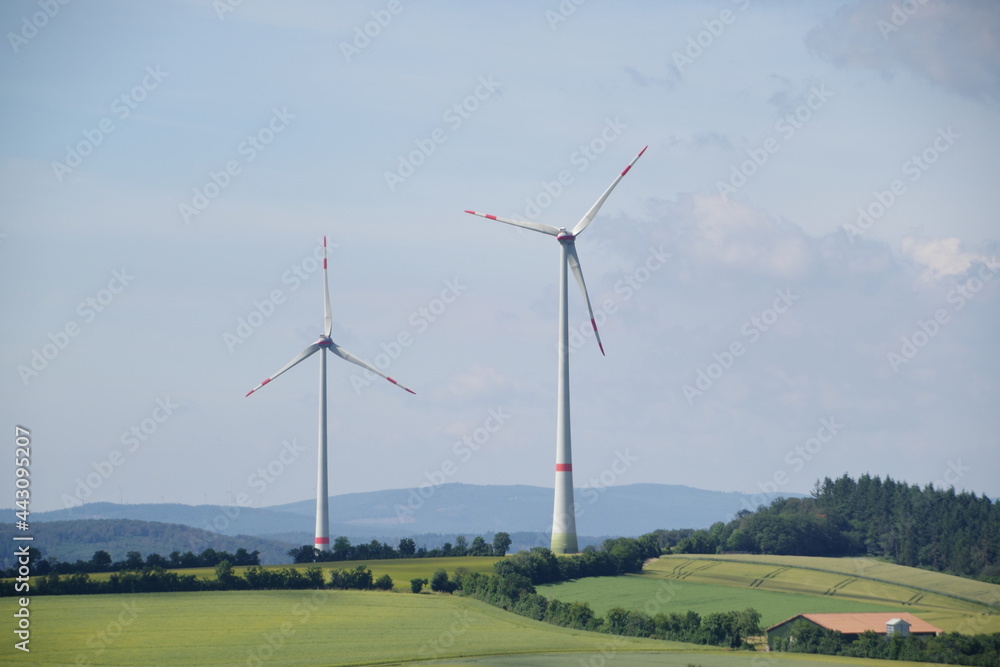 Fototapeta premium Windräder
