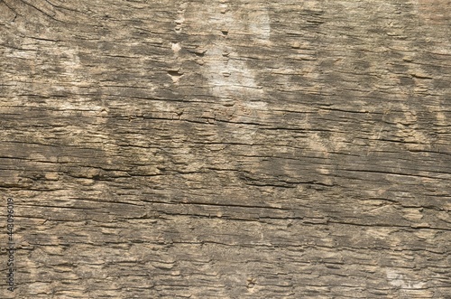 Old scratched board. Abstract background