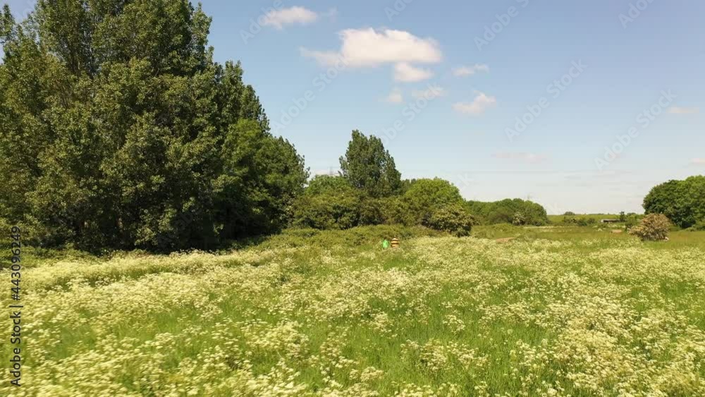 Couple walking on path through white and yellow blooming meadow on a Sunny day in nature Couple walking on path through white and yellow blooming meadow on a Sunny day in nature