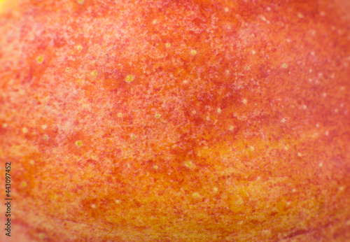 Close up photo of red apple background. Apples fruit peel texture, macro view. Beautiful natural wallpaper.