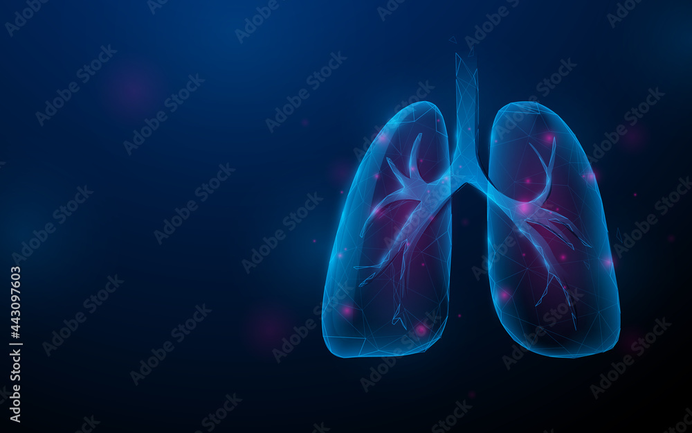 Covid-19. Coronavirus outbreak infecting respiratory system. Human lungs. Low polygon line, triangles, and particle style design. Illustration vector - obrazy, fototapety, plakaty 