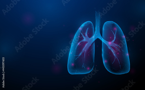 Covid-19. Coronavirus outbreak infecting respiratory system. Human lungs. Low polygon line, triangles, and particle style design. Illustration vector