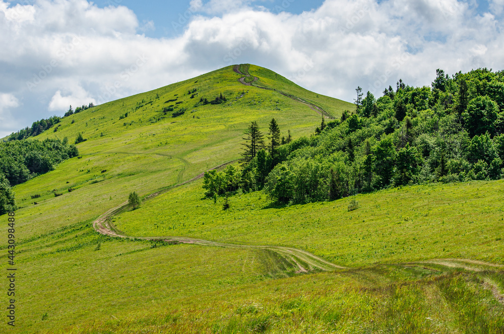 Beautiful green mountain range in the Carpathians Ukraine