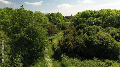 Forwards reveal of couple holding hands and walking on path mowed in high grass among trees. Back view of pair enjoying leisure time
