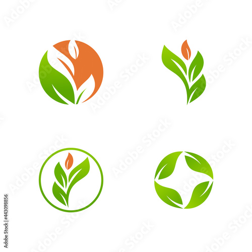 Tree leaf vector logo design simple and colorful is perfect for your business symbol