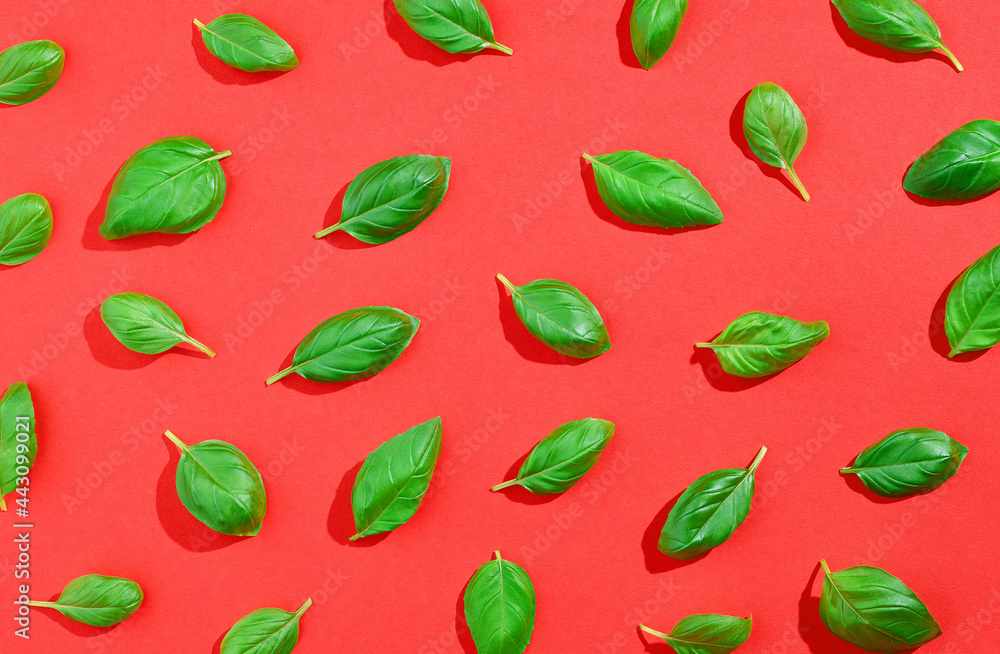 Basil pattern on red background, from above, hard shadow Basil pattern on red background, from above, hard shadow