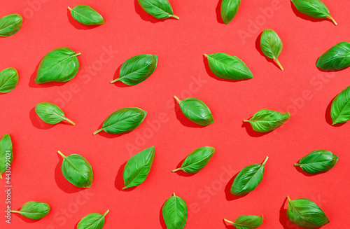 Wallpaper Mural Basil pattern on red background, from above, hard shadow Torontodigital.ca