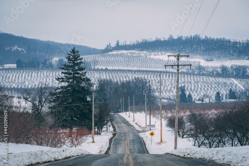 Rural road with view of snow-covered rolling hills, in Adams County, Pennsylvania photo