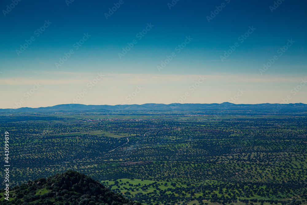 Fototapeta premium Paisaje de dehesa con horizonte montañoso