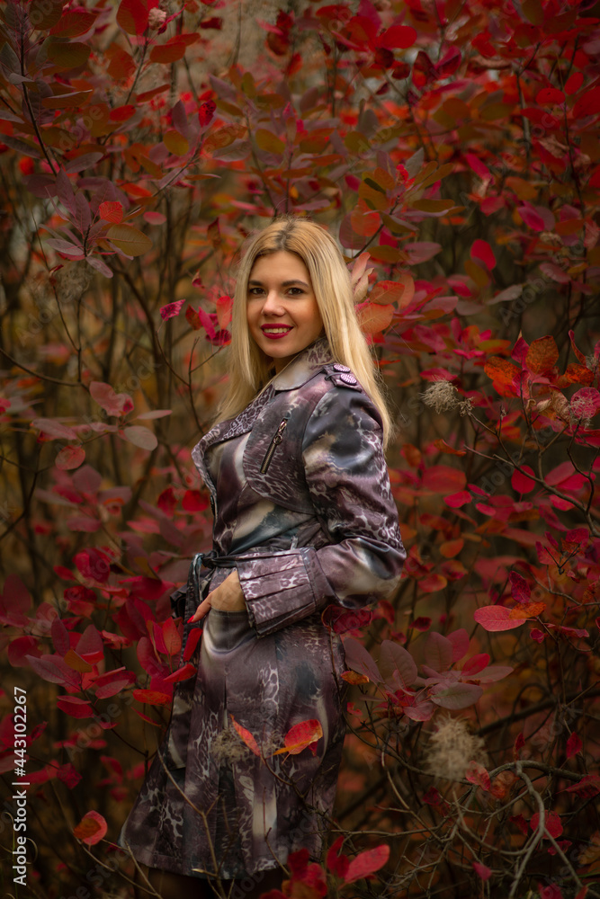 Fototapeta premium beautiful girl in autumn beautiful foliage in the forest in the tunnel