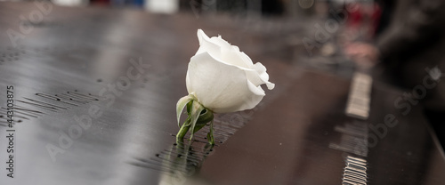 Canvas-taulu Fleur au World Trade Center memorial