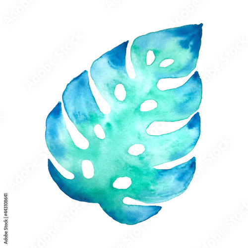 Monstera leaf watercolor green aquamarine blue. Isolated, white background. For design, decor. Vector illustration