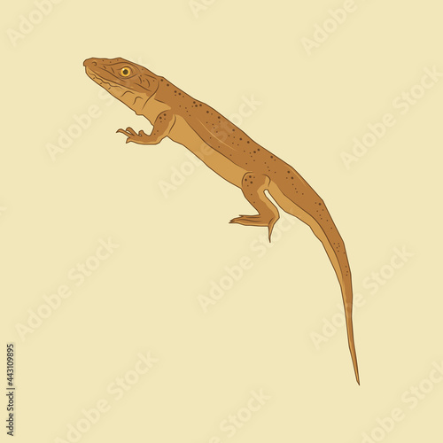 Illustration of a brown lizard with a long tail, World Lizard Day