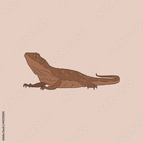 Illustration of a brown lizard with a long tail, World Lizard Day