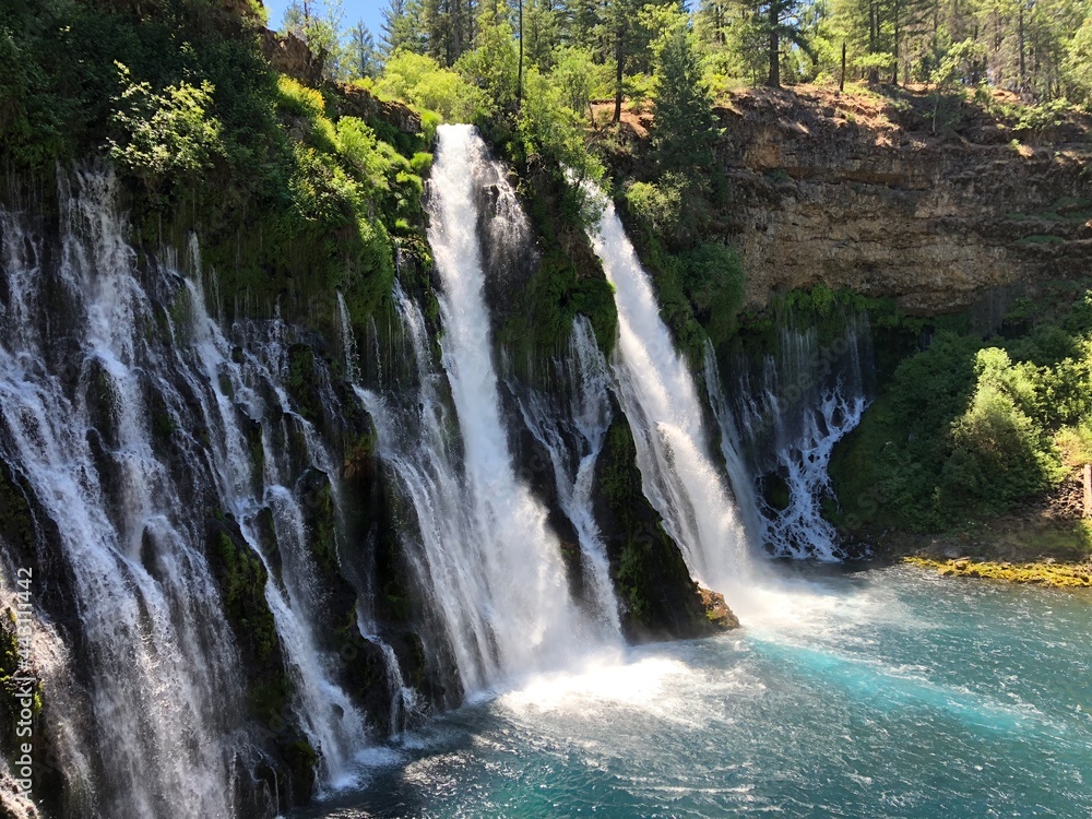 Fototapeta premium Waterfall