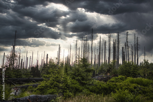 Dramatic landscape scenery at Mount Dreisessel after quick weather changes in the mountains with a lot of rain