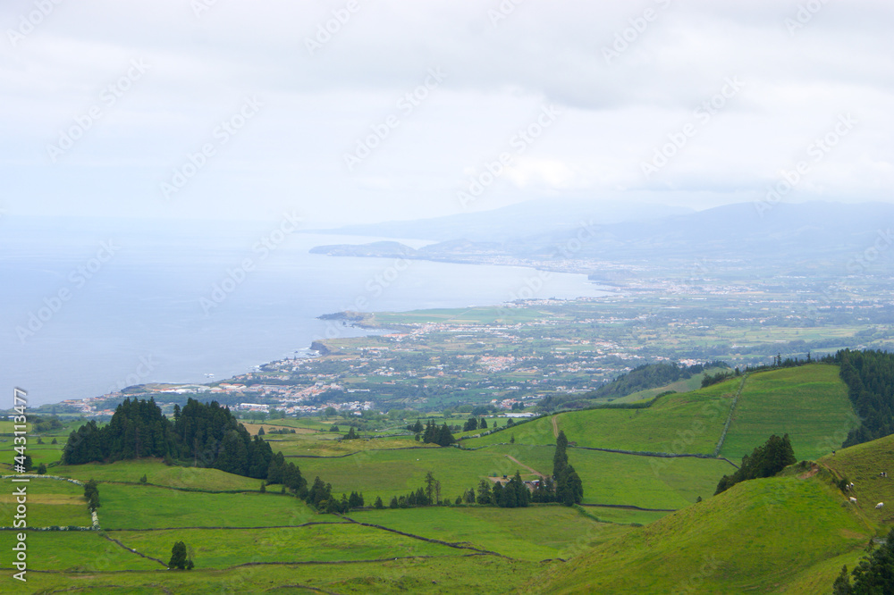 Typical green landscape with hydrangeas of Sao Miguel island, Azores.