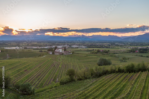 Spring sunset in the vineyards of Rosazzo