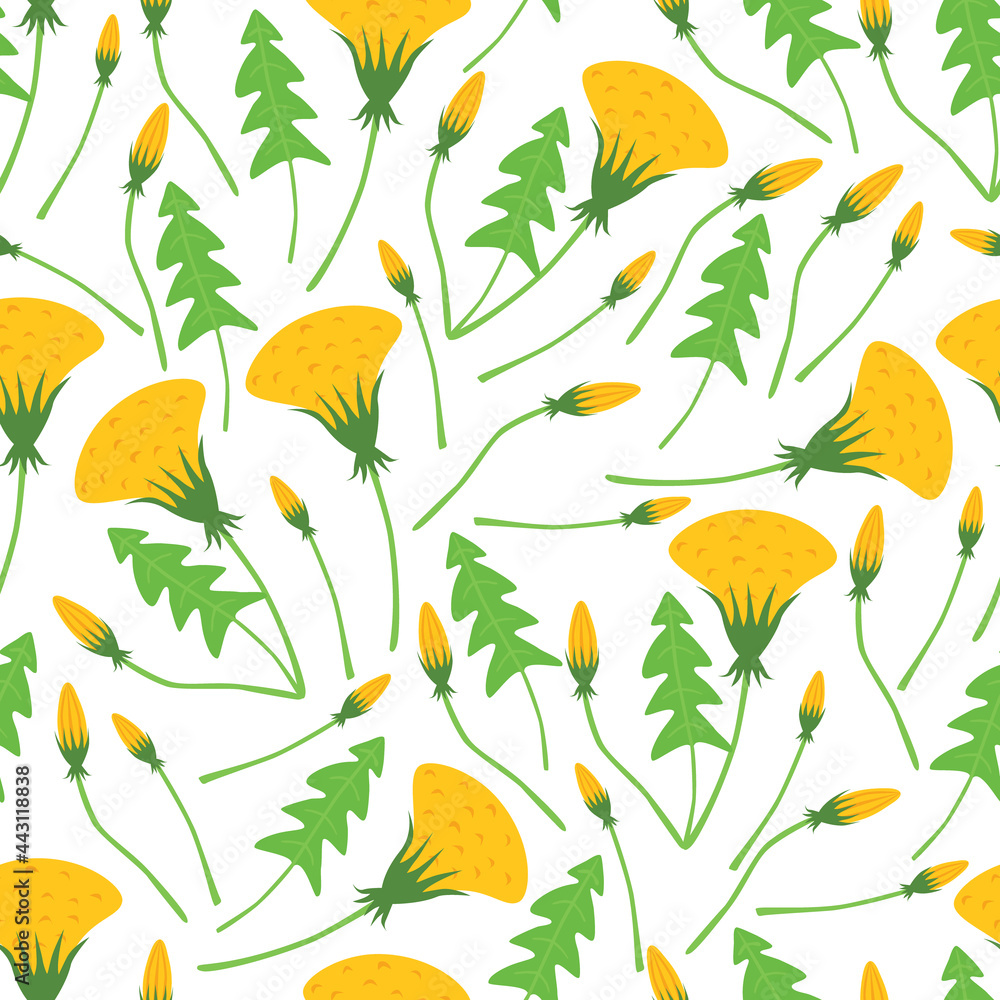 dandelion seamless pattern with white background dandelion seamless pattern with white background