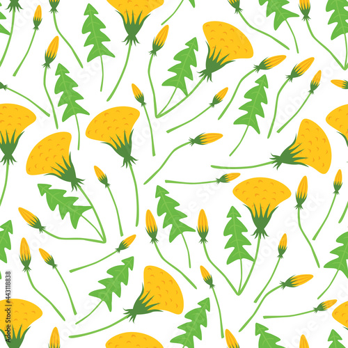 dandelion seamless pattern with white background © glorcza