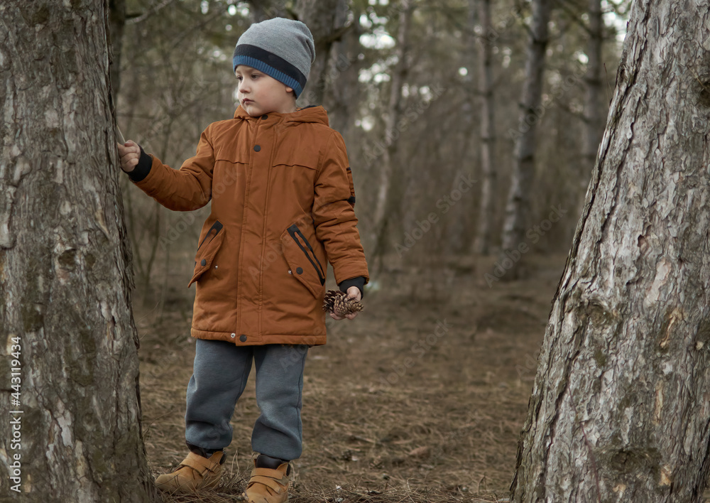 Sad child in the pine forest break the bark from the tree with his finger Sad child in the pine forest break the bark from the tree with his finger